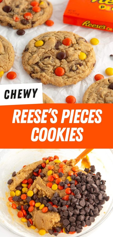 These soft & chewy Reese's Pieces Cookies are a peanut butter lover’s dream! Make in one bowl, no mixer required! Reese’s Peanut Butter Cookies Recipe, Reeces Pieces Cookie, Reese’s Pieces Cookies, Unique Cookie Recipes, Easy Reese’s Pieces Cookies, Reese’s Pieces Cookies Stuffed With Peanut Butter, Chewy Peanut Butter Cookie Recipe, Reese’s Peanut Butter Cup Cookie Recipe, Reese's Pieces Cookies