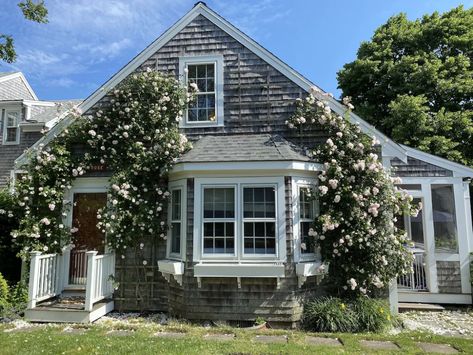 Cape Cod Beach House Nantucket Cottage, Nantucket Style Homes Exterior, Theatre Workshop, Cape Cod Beach House, Cozy Beach House, Nantucket Style Homes, Exterior Door Colors, Nantucket Cottage, Cape Cod Cottage