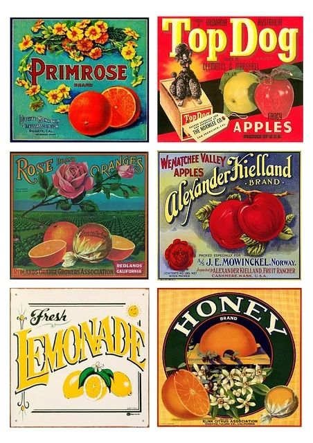 Vintage Food Labels, Vintage Fruit Crate Label, Miniature Dollhouse Food, Fruit Labels, Fruit Crate Label, Rice Paper Decoupage, Fruit Crate, Crate Label, Vintage Fruit