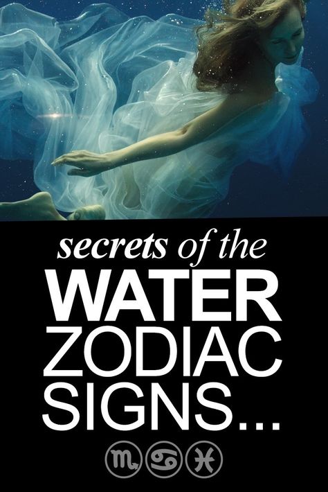 The Water Signs, Water Signs Zodiac, Numerology Birth Date, Increase Height Exercise, Zodiac Characteristics, Money Prayer, Zodiac Meanings, Air Signs, Water Signs