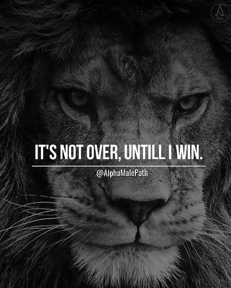 Untitled Lion Mentality, Alpha Quote, Ambition Quotes, Life Struggles, John Rambo, What I Like About You, Lion Quotes, Wolf Quotes, Strong Mind Quotes