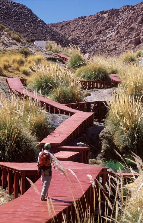 Wooden Path, Thermal Bath, Landscape And Urbanism, Architecture Inspiration, Garden Architecture, Pedestrian Bridge, Urban Spaces, Urban Planning, Elba