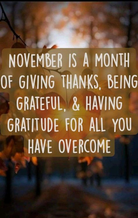 Thankful Quotes Life, November Gratitude, Thankful Quotes, Being Grateful, Giving Thanks, Good Attitude, Give Thanks, Meaningful Quotes, A Month