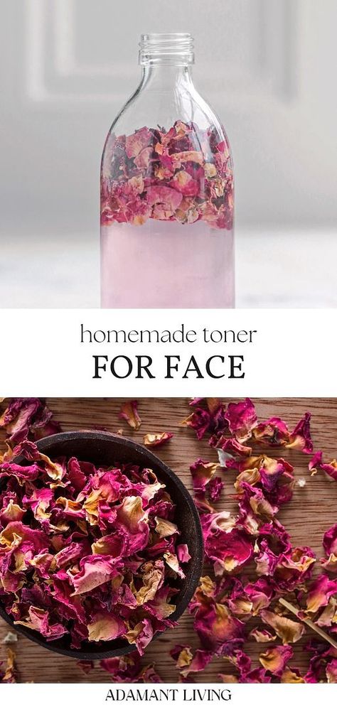 Transform your skin care routine with our DIY beauty guide featuring a witch hazel toner. This homemade skin care gem harnesses the skin-nourishing benefits of witch hazel and the enchanting aroma of dried rose petals to create a rejuvenating herbal toner. With this recipe, homemade toners for face become not just a possibility but an accessible, healthier option for your daily skin care regimen. Benefits Of Witch Hazel, Herbal Salve Recipes, Homemade Toner, Homemade Lotion Recipe, Body Care Recipes, Witch Hazel Toner, Herbal Medicine Recipes, Herbal Remedies Recipes, Salve Recipes