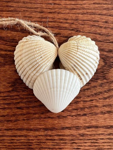 Beach Crafts Diy, Seashell Art Diy, Beach Themed Crafts, Beach Christmas Ornaments, Shell Ideas, Oyster Shell Crafts, Natural Things, Shell Heart, Seashell Wall Art