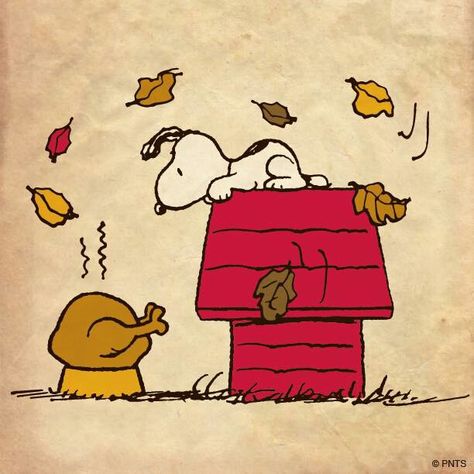 . Thanksgiving Whiteboard Art, Thanksgiving Snoopy, Thanksgiving Icon, Peanuts Thanksgiving, Thanksgiving Drawings, Turkey Drawing, Thanksgiving Cartoon, Charlie Brown Thanksgiving, Whiteboard Art