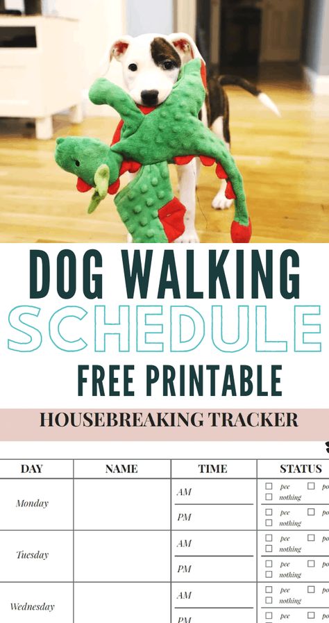 Free Printable Walking The Dog Log – How To Set A Schedule And Develop A Routine #dog #dogmom Dog Walking Schedule, Dog Log, Dog Printable, Dog Walking Business, Puppy Stages, Printable Dog, Tallest Dog, Family Tips, Just Deal With It