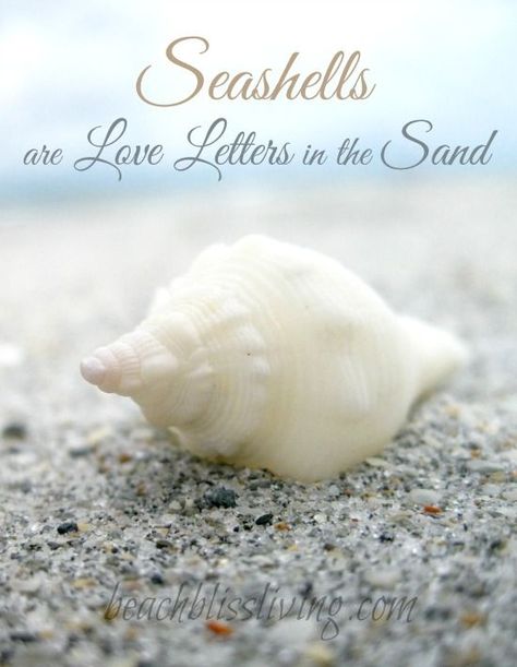 Seashells are Love Letters in the Sand: http://beachblissliving.com/how-to-make-seashell-jewelry/ Summer Beach Quotes, Summer Themes, Ocean Quotes, She Sells Seashells, I Love The Beach, Seashell Jewelry, Beach Quotes, Pinturas Disney, Beach Signs