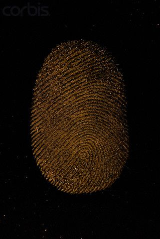 Gold Fingerprint on Black Background Gold Black Background, Black Background Photography, Background Photography, Creative Images, Gold Black, Gold Foil, Fingerprint, Black Background, Black Backgrounds