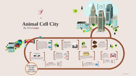 Animal Cell City Cell City, Endoplasmic Reticulum, Animal Cell, Gallery Design, A Cell, Data Visualization, Design Company, Jelly, Education