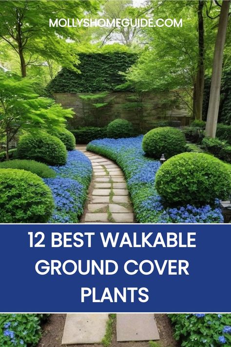 Explore the best ground cover plants for effortlessly beautifying your path and lawn with walkable ground covers. From vibrant ground cover flowers to high traffic ground cover plants, discover options to transform your landscape with ease. Whether you're looking for walkable ground cover plants or seeking ways to add flair to your outdoor space, these choices are perfect for every type of garden. Brighten up your surroundings with these versatile and durable ground covers that are both practica Stepping Stone With Ground Cover, Ground Cover Along Fence, Brass Buttons Ground Cover, Best Ground Cover For Dogs, Walkable Ground Cover Grass Alternative, Landscaping With Ground Cover, Garden Ground Cover Ideas, Ground Cover That Chokes Out Weeds, Small Garden Path Ideas