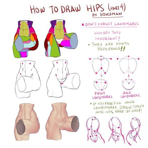 Draw Hips, Hip Anatomy, Female Anatomy Reference, Male Figure Drawing, Drawing Female Body, Anatomy Tutorial, Female Torso, Human Anatomy Drawing, Human Figure Drawing