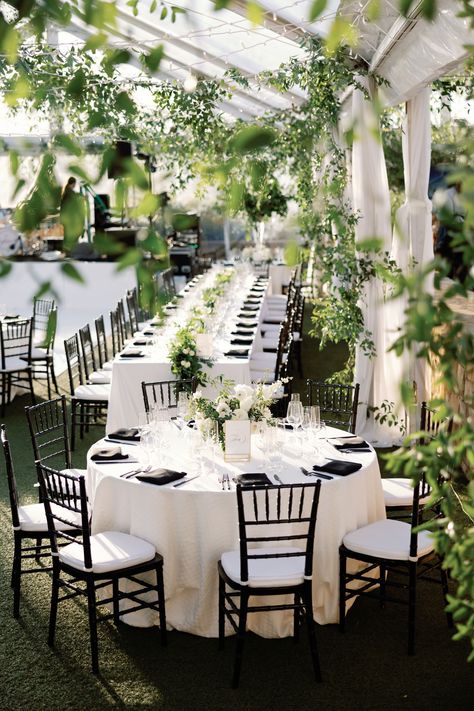 Garden Wedding Black And White, All White Tent Wedding, Outdoor Black Tie Event, Black Tie Winery Wedding, Black And White Aesthetic Wedding Reception, Green Cream And Black Wedding, Black And White Wedding With Green Accents, Southern Black Tie Wedding, Black And White Forest Wedding