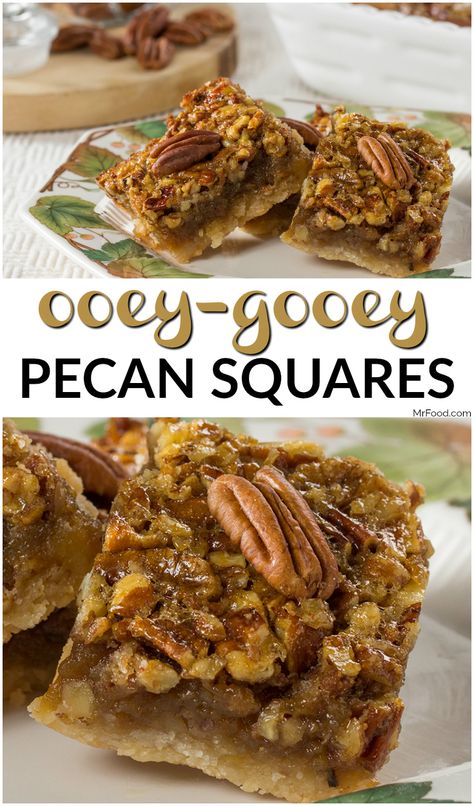 Ooey Gooey Butter Pecan Bars, Ooey Gooey Pecan Bars, Butter Pecan Squares, Pecan Chess Squares, Russian Torte Cookies, Pecan Squares Recipe Easy, Pecan Ooey Gooey Butter Cake, Ooey Gooey Pecan Pie Bars, Brownie Pecan Pie Ooey Gooey Butter Cake