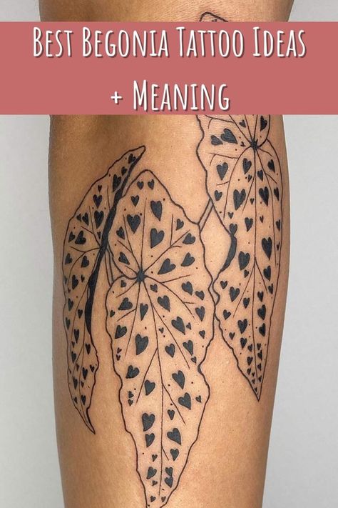 31+ Best Begonia Tattoo Ideas + Meaning - Tattoo Glee Begonia Leaf Tattoo, Color Arm Sleeve Tattoos, Angel Wing Begonia Tattoo, Begonia Flower Tattoo, Begonia Drawing, Flower Tattoos Meanings, Begonia Tattoo, Houseplant Tattoo, Monstera Tattoo