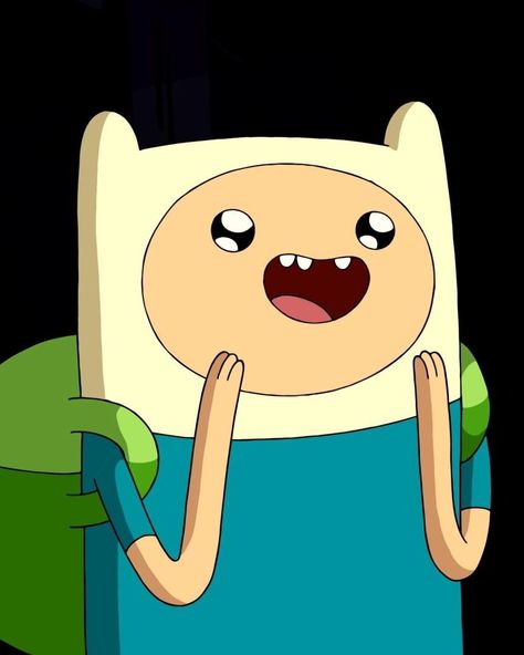 Fin Adventure Time Halloween, Fin From Adventure Time, Finn Adventure Time Pfp, Finn The Human Icon, Fin E Jake, Finn From Adventure Time, Jake And Finn, Finn Adventure Time, Finn Mertens