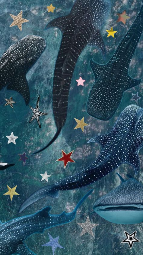 #whaleshark #shark #ocean Whale Shark Art Wallpaper, Whale Sharks Aesthetic Wallpaper, Leopard Shark Aesthetic, Whale Shark Aesthetic, Whale Shark Wallpaper, Sharks Aesthetic, Shark Collage, Shark Aesthetics, Ocean Reference