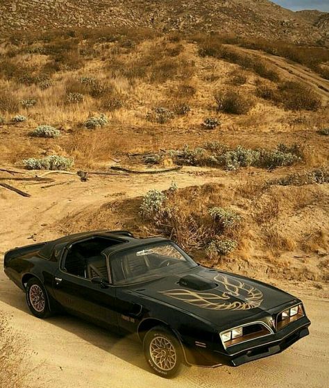 1978 Pontiac Firebird Trans Am Firebird Tattoo, Bandit Trans Am, 1978 Pontiac Trans Am, Skid Marks, 1979 Pontiac Trans Am, Smokey And The Bandit, Road Trip Car, Pontiac Firebird Trans Am, Vintage Muscle Cars