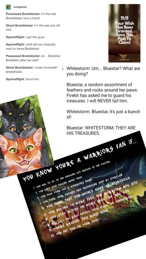 Warrior cat meme Warrior Cat Polish Cover, Warrior Cats Funny Jayfeather, Sss Warriors Cats, Warrior Cats Funny, Warriors Squirrelflight, Warriors Memes, Car Cat, Cats Memes, Love Warriors