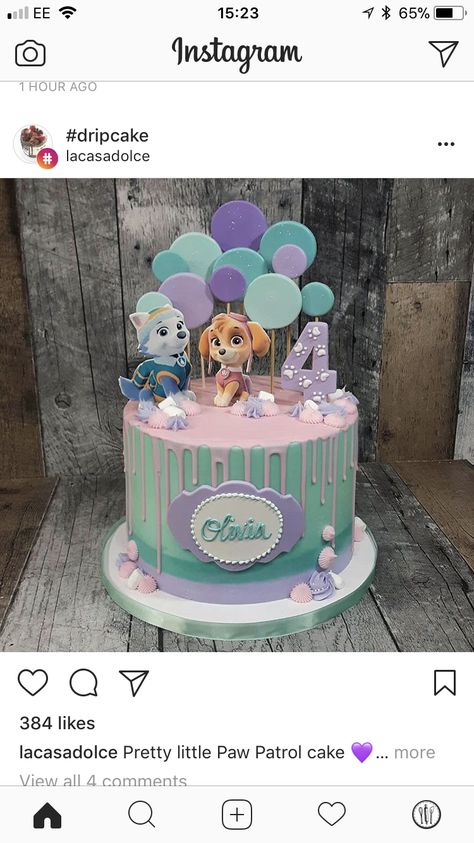 Paw Patrol Cake Skye Everest, Sky Everest Cake, Skye Everest Cake, Paw Patrol Everest Cake, Skye Cake Paw Patrol, Skye And Everest Birthday Cake, Skye And Everest Cake, Paw Patrol Everest Party, Everest Paw Patrol Cake