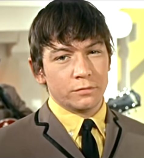 The Animals, 1965 Eric Burdon 60s, The Animals Band, Iconic Musicians, Eric Burdon, House Of The Rising Sun, Boxer Puppies, Rock Stars, Rising Sun, Music Icon