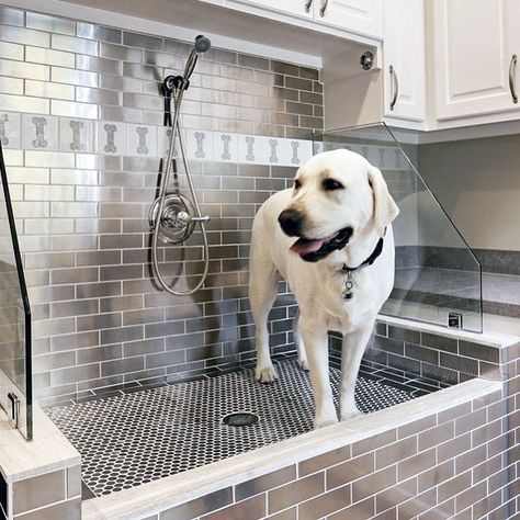 Large Dog Washing Station With Dog Bone Pattern Wall Tile Dog Shower Outdoor, Home Dog Wash, Dog Wash Station, Dog Bathing Station, Dog Station, Patterned Wall Tiles, Wash Station, Washing Station, House Addition