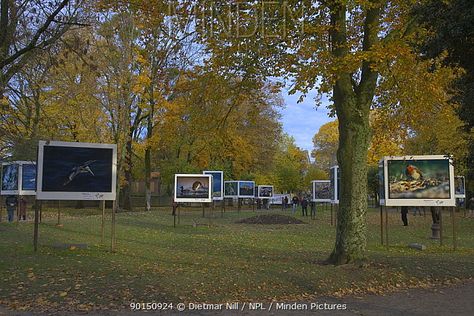 Photography Exhibition Display, Champagne France, Photography Exhibition, Museum Displays, Exhibition Display, Outdoor Art, Summer Festival, Art Display, Exhibition Design