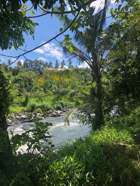 Nature Trip Philippines, 1000 Peso Bill Philippines, Wonders Of Nature, Mood Instagram, Beautiful Places To Travel, Nature Travel, Travel Food, Natural Wonders, Places To Travel