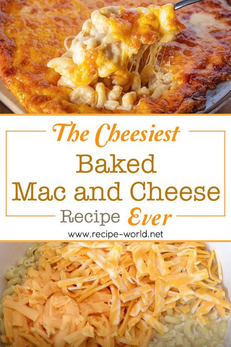 No Roux Baked Mac And Cheese, Max And Cheese Recipes, Mac And Cheese Recipe No Flour, 3 Cheese Mac N Cheese, Cheese Roux Recipe, Mac And Cheese Roux, 5 Cheese Mac And Cheese, Cheesy Mac N Cheese Recipe, Mac And Cheese Recipe Soul Food