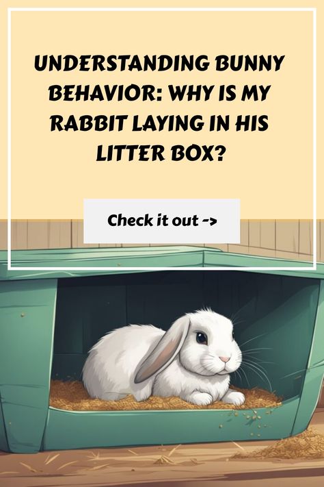 Understanding Bunny Behavior: Why is My Rabbit Laying in His Litter Box? Bunny Boredom Busters, Bunny Dig Box Ideas, Rabbit Litter Box Ideas, Bunny Litter Box Ideas, Litter Training Rabbits, Bunny Behavior, Bunny Tips, Rabbit Enrichment, Bunny Care Tips