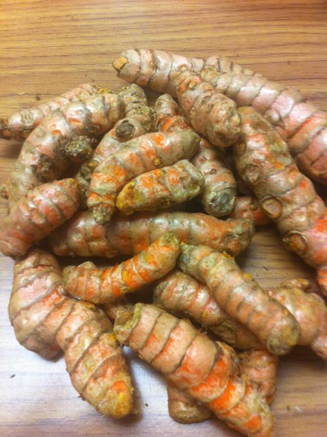 Turmeric Root - Whole Raw Organic Root - 1 Lb. Lots - Top Grade Turmeric Spice, Spice Company, Shopping List Grocery, Organic Turmeric, Spice Grinder, Turmeric Root, Spices And Herbs, Grocery Shop, Gourmet Food