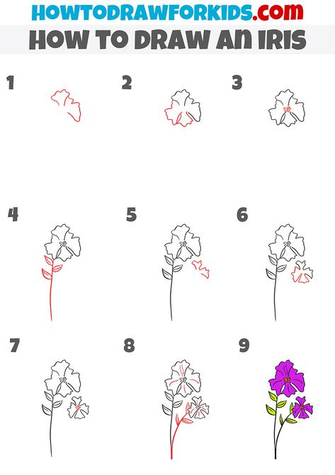 How To Draw An Iris Flower Step By Step, How To Draw Flower Petals Step By Step, How To Draw Iris Flower, Iris Flowers Drawing Easy, How To Draw Iris, Iris Drawing, Floral Drawings, Easy Flower Drawings, Flower Step By Step