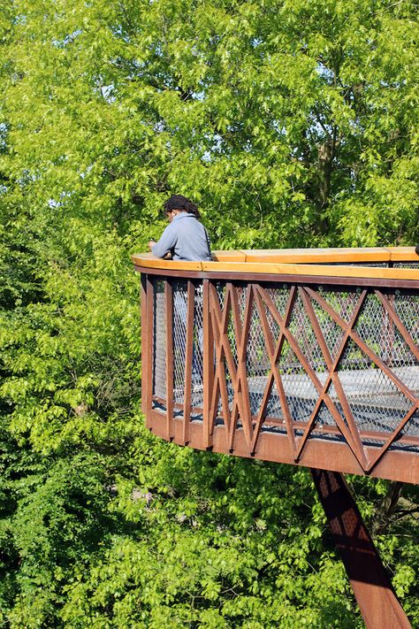 Treetop walkway at KEW gardens © Vladimir Guculak Treetop Walkway, Landscaping Elements, Pocket Park, Curved Wood, Kew Gardens, Street Lamp, Bar Lounge, Pool Area, Architecture Project