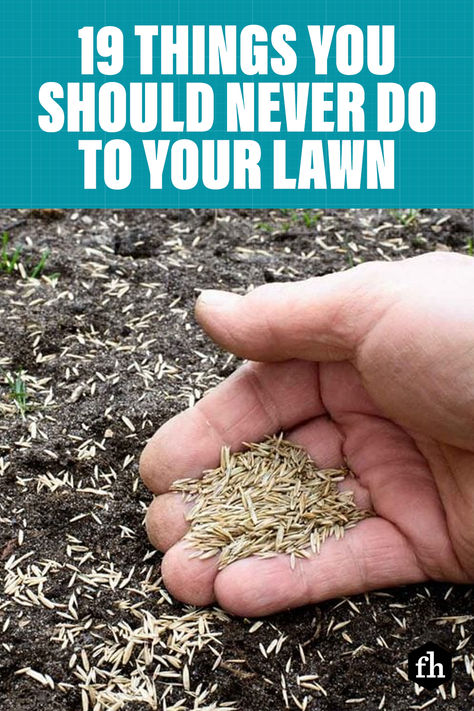 Whether you’re a green thumb or not, it’s easy to maintain a barefoot-worthy lawn with these tips. #lawncaretips #lawns #lawnscare #landscapingtips #landscaping