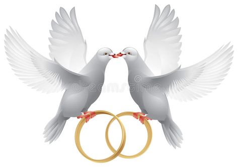 Wedding doves with rings. Wedding white doves with rings, symbol of love and wed , #Ad, #white, #symbol, #rings, #Wedding, #doves #ad Wedding Ring Clipart, Wedding Symbols, Wedding Birds, Wedding Doves, Wedding Invitation Background, Bird Wedding, Invitation Background, Wedding Scrapbook, White Doves