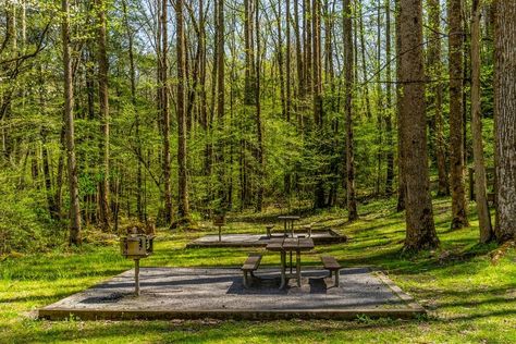 Fern Valley, Farmhouse Yard, Gatlinburg Vacation, Smoky Mountains Vacation, Landscape Forest, River Trip, School Interior, Mountain Getaway, Mountain Park