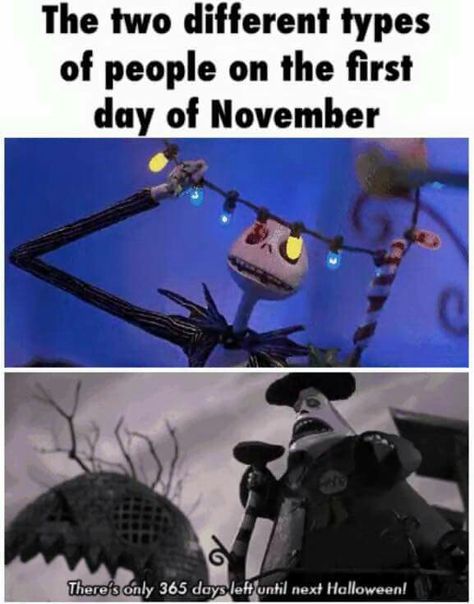 Two types of people Different Types Of People, Halloween Memes, Christmas Memes, Tim Burton Movie, Memes Humor, Reality Check, Film Serie, Tim Burton, Nightmare Before