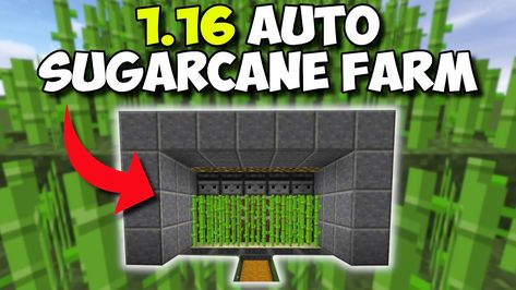 EASIEST Way To Get Sugarcane In Minecraft! - Fully Automatic Sugarcane Farm! Sugarcane Farm, Youtube Setup, Make A Video, Red Stone, A Video, Minecraft, Gaming, Stone, Red