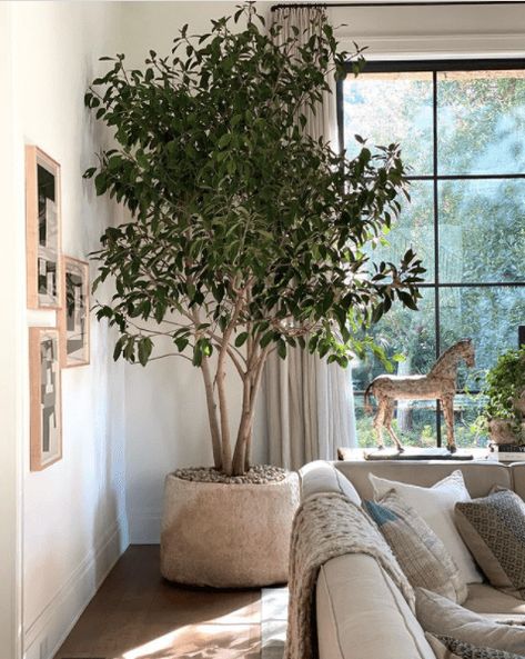 DIY Faux-Real Indoor Tree - Jenna Sue Design Large Indoor Plants, Indoor Tree, Indoor Trees, Fake Designer, Plant Decor Indoor, Interior Plants, House Plants Decor, Room With Plants, Designer Home