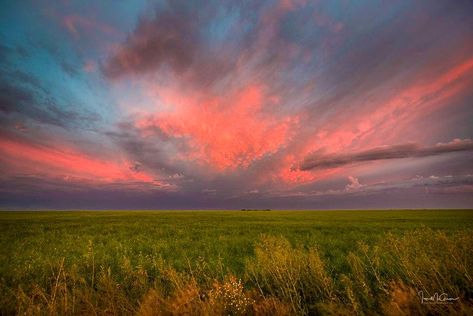 Ian Mcgregor, Prairie Sunset, Rock N Roll Aesthetic, Canadian Prairies, Summer Storm, Summer Sky, Sunset Painting, Photography Website, Dark Art