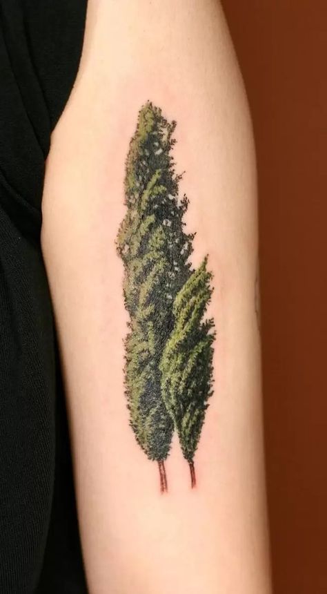 27 Beautiful Tree Tattoos - A Guide to Their Meanings Poplar Tree Tattoo, Cypress Tattoo, Cypress Tree Tattoo, Tree Back Tattoo, Dead Tree Tattoo, Rock Sketch, Aspen Trees Tattoo, Bonsai Tattoo, Birch Tree Tattoos