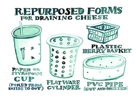 Illustration by Louella Hill Cheese Doodle, Diy Cheese, Cheese Mold, Making Baskets, Styrofoam Cups, Dairy Free Cheese, Cheese Curds, Berry Baskets, Homemade Cheese