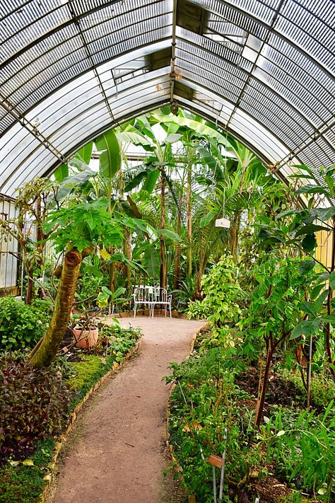 The Conservatory and Botanical Garden of the city of Geneva (GE) | Family Travel Blog Switzerland by Conservatory Vegetable Garden, Garden Decor Ideas Diy, Tropical Botanical Garden, Tropical Greenhouses, Travel Switzerland, Zoo Architecture, Peaceful Garden, Arcology, Fountain Design