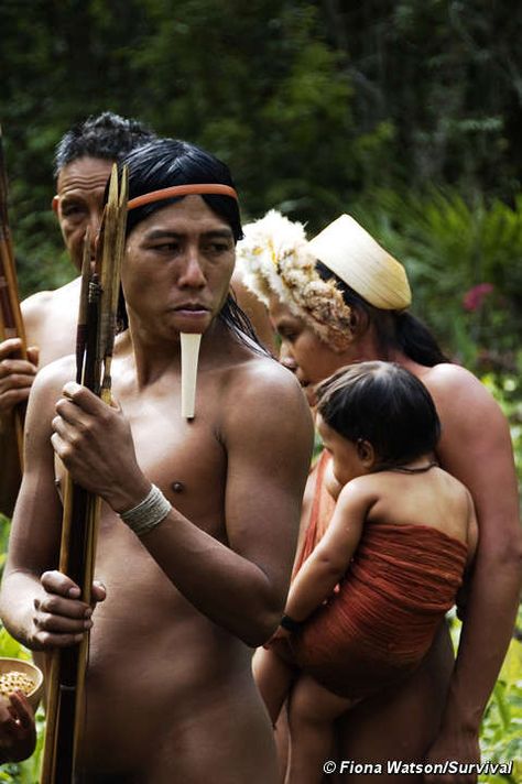 Zo'é Tribe  Brasil © Fiona Watson/Survival Rainforest Tribes, Congo Rainforest, Tribes Of The World, Tribes Man, Amazon Tribe, Beatiful People, Indigenous Tribes, Call Of The Wild, Native American Tribes