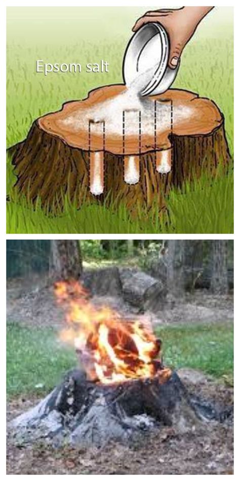 Kill Tree Stump, Tree Stumps Diy, Landscaping Around Trees, Diy Lawn, Couch Diy, Pallet Couch, Furniture Cheap, Furniture Couch, Budget Backyard