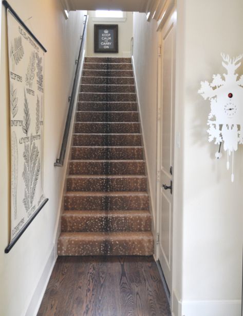 Antelope Carpet, Antelope Rug, Staircase Styles, Entry Stairs, Basement Stairs, Cheap Carpet Runners, Entry Hallway, Beige Carpet, Wall Carpet