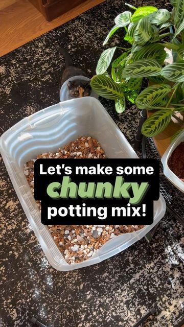 𝕝𝕚𝕓𝕖𝕣𝕥𝕪 & her plants🌿 on Instagram: "We talked about what “well draining” potting mix is in a previous reel. Today I want to give you a visual of my chunky mix. These are my preferred ingredients, although when I haven’t just ordered, i’ll use what I have on hand, so you definitely do not have to follow this verbatim if other ingredients are more accessible! - -Coco chips and fibers for air flow and water retention. -Orchid bark for added air flow. -Horticultural charcoal for air flow, w Horticultural Charcoal, Orchid Bark, Water Retention, Plant Care, Drain, Soil, Coco, Chips, Plants