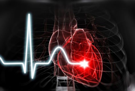 The heart is a powerful muscle that beats 100,000 times per year. It can even beat outside of the body. Discover 10 fascinating facts about your heart. Arteries Anatomy, Heart Valves, Coronary Arteries, Body Organs, Fascinating Facts, Types Of Cancers, Facts About, Did You Know, Fun Facts