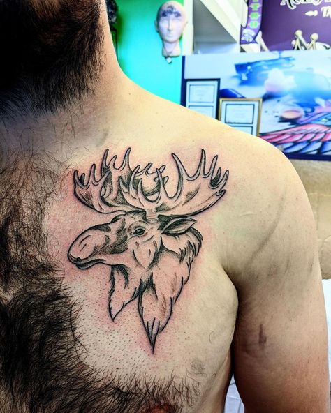 Moose Tattoo, modern moose tattoo, simple moose tattoo, moose tattoo ideas, geometric moose tattoo, small moose tattoo, traditional moose tattoo, feminine small moose tattoo, realistic moose tattoo, moose tattoo simple, moose tattoo designs, laurdiy moose tattoo, cute moose tattoo, moose tattoo small, tiny moose tattoo, outline small moose tattoo, minimalist moose tattoo, cartoon moose tattoo, small black moose tattoo, small simple moose tattoo, cute moose tattoo small, bull moose tattoo Cartoon Moose Tattoo, Moose Tattoo Traditional, Moose Tattoo Men, Moose Head Tattoo, Moose Skull Tattoo, Moose Antler Tattoo, Moose Tattoos, Tattoo Ideas Geometric, Cartoon Moose