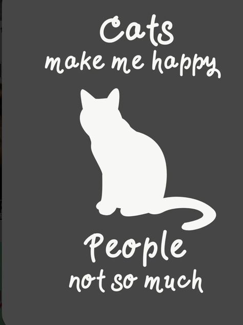 #cats #catlovers Cat Lover Quote, Katt Grejer, Colorful Hairstyles, Cat Quotes Funny, Gray Cat, Brown Cat, Funny Wallpaper, Cat Posters, Cat Quotes